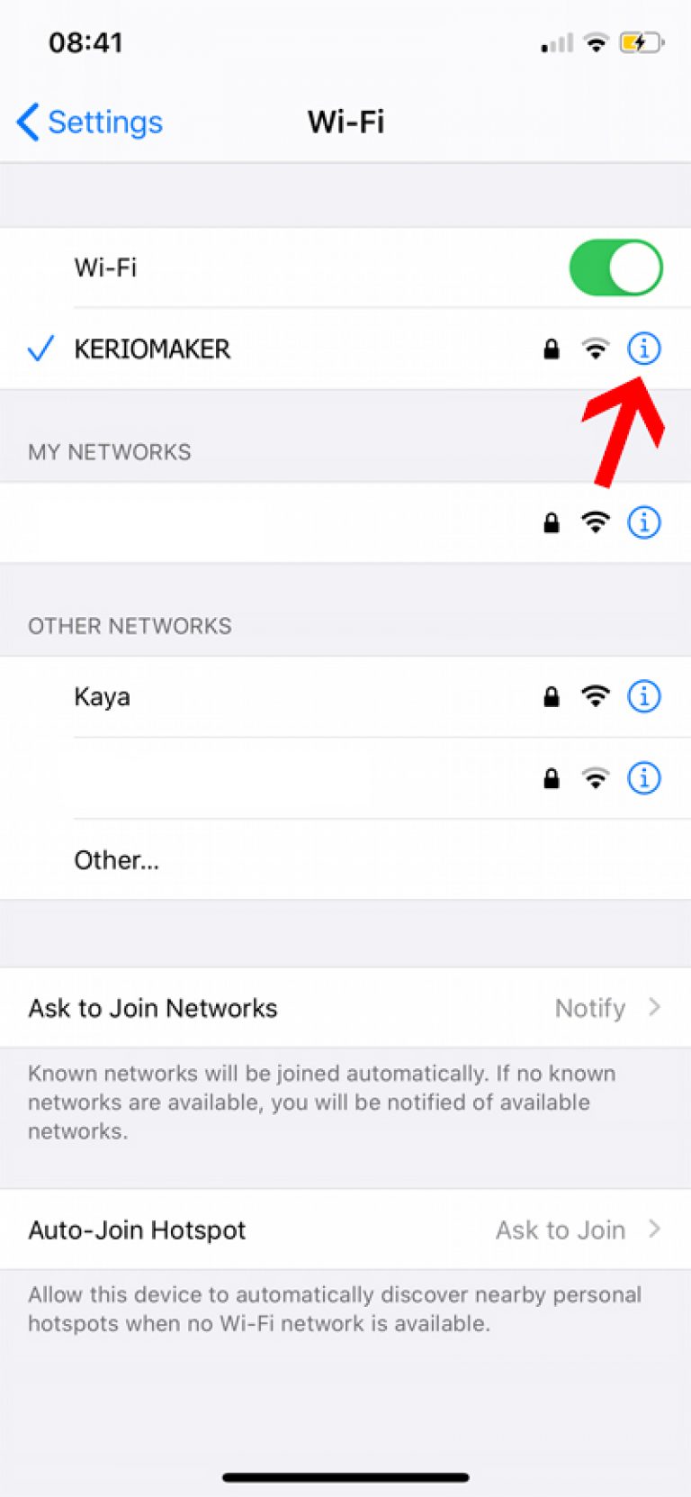 تنظیمات DNS در IOS برای آیفون و آیپد | Kerio Maker